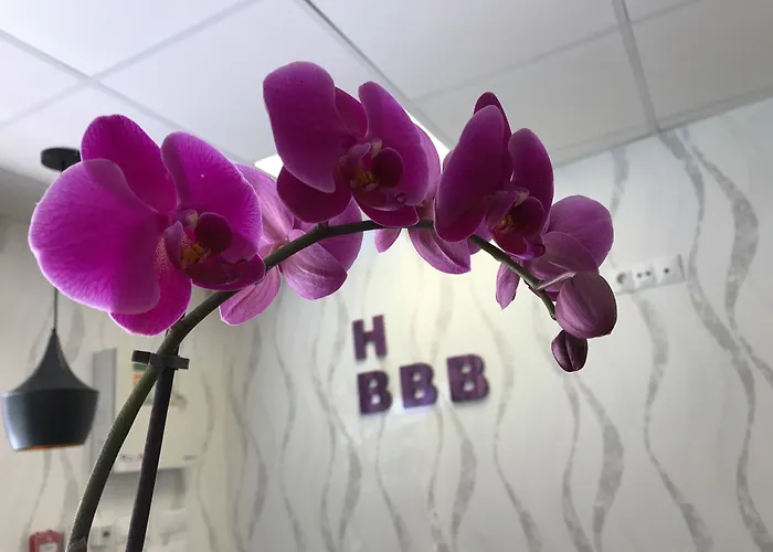 فندق Boutique Centro Bbb Auto Check In 2*