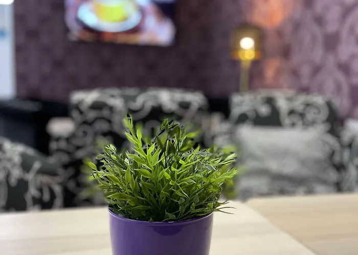 فندق Boutique Centro Bbb Auto Check In 2*