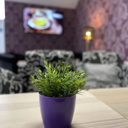فندق Boutique Centro Bbb Auto Check In 2*